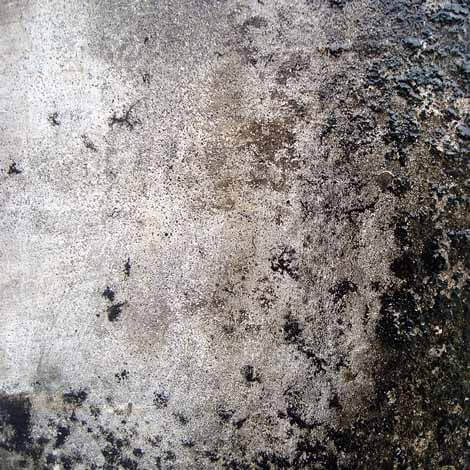 Damp proofingal