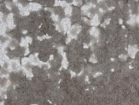 Rising damp treatment
